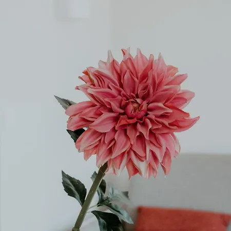 Apartment At In Clermont, Place De Jaude *